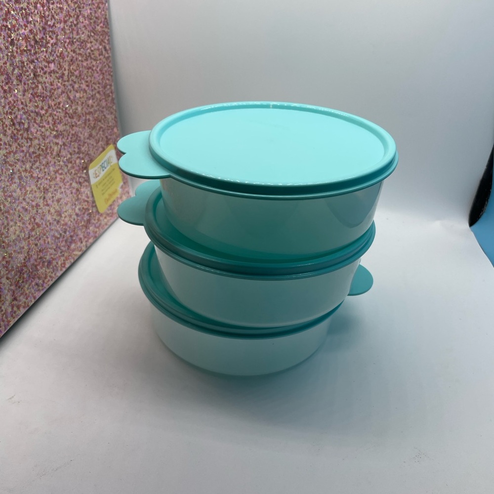 Set of 4 (3 cup) Snack Saver With Teal Seal Big Wonders Large Bowls